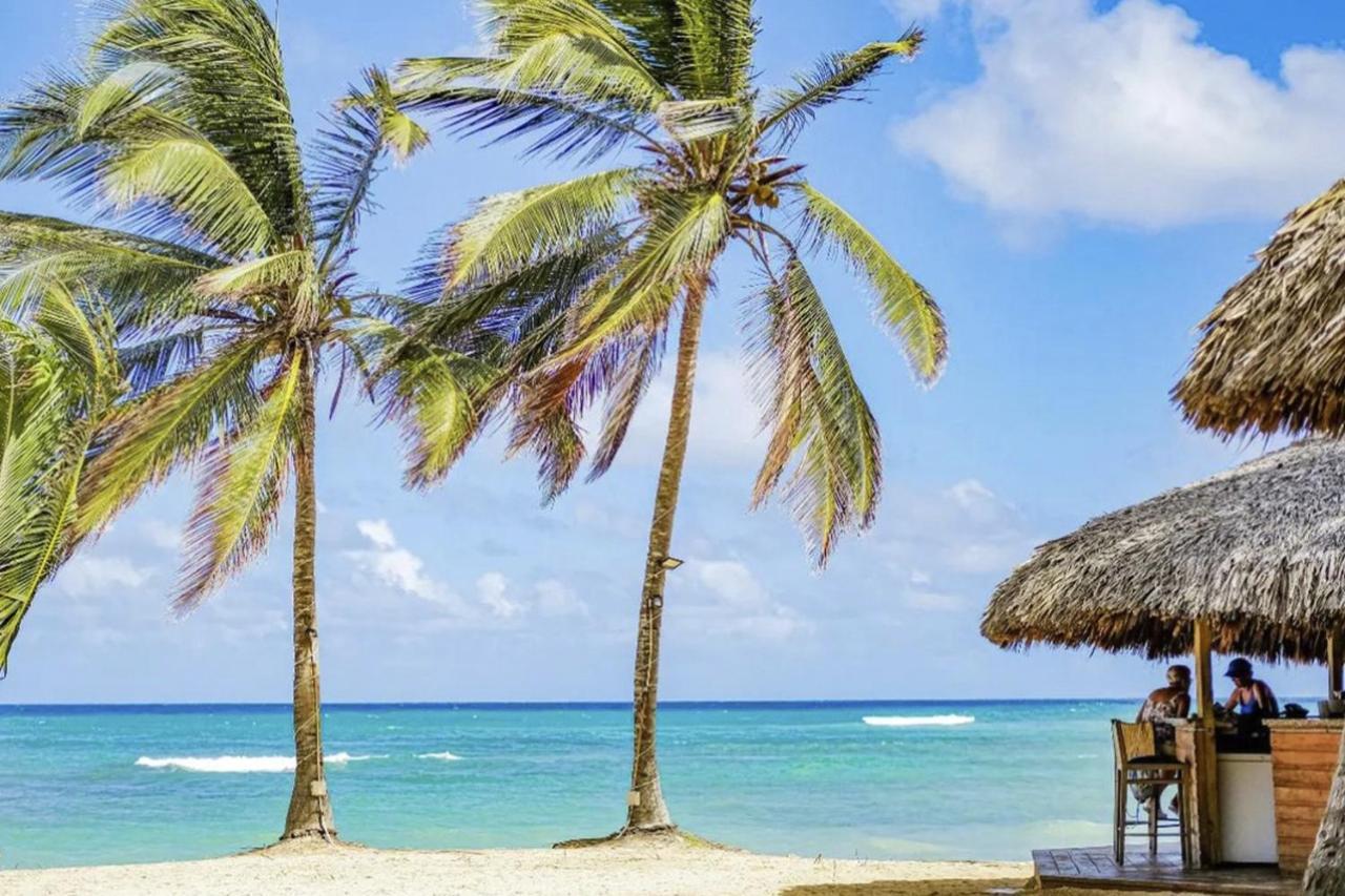 Playa Palmera Beach Resort プンタ・カナ エクステリア 写真