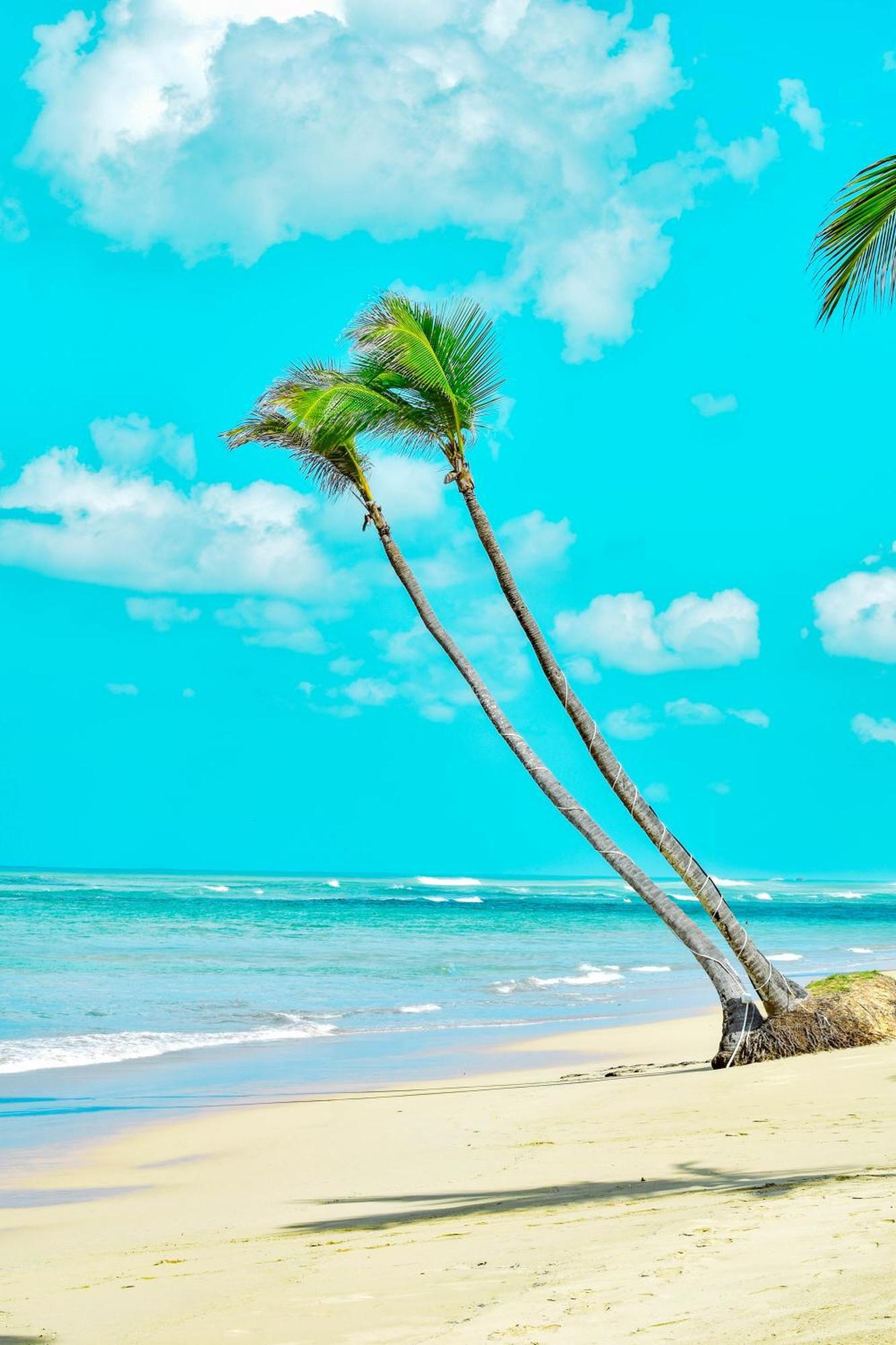 Playa Palmera Beach Resort プンタ・カナ エクステリア 写真